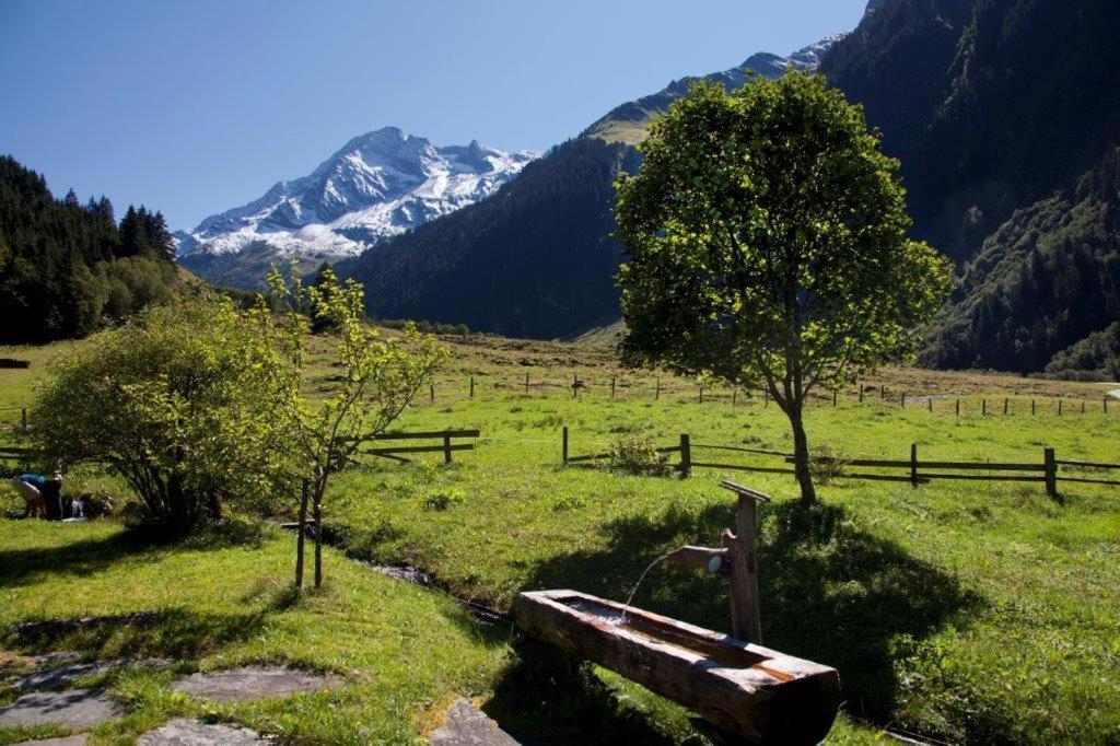 Hotel Garni Roesslhof Hollersbach im Pinzgau Exteriér fotografie