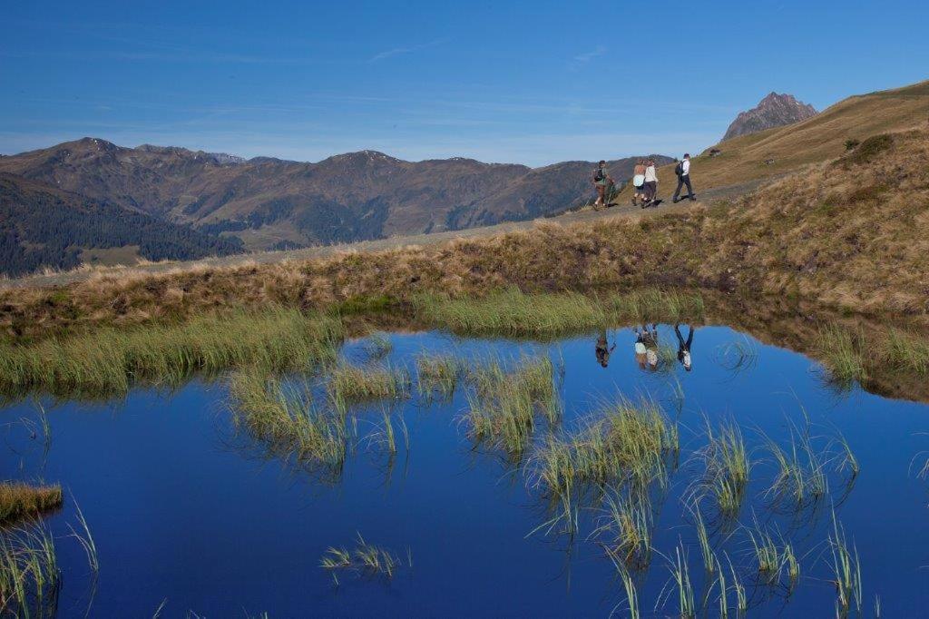 Hotel Garni Roesslhof Hollersbach im Pinzgau Exteriér fotografie