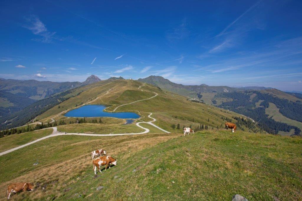 Hotel Garni Roesslhof Hollersbach im Pinzgau Exteriér fotografie